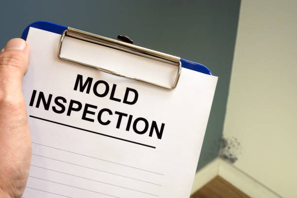 Best Airborne Mold Testing  in Manito, IL